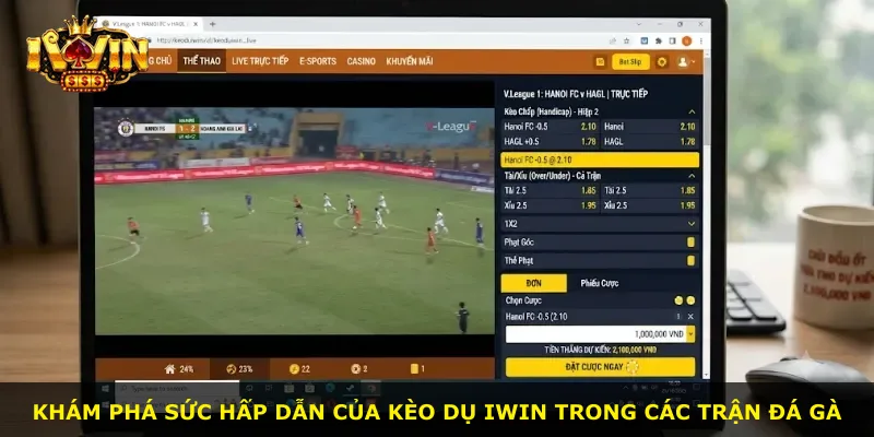 Khám phá sức hấp dẫn của Kèo Dụ Iwin trong các trận đá gà